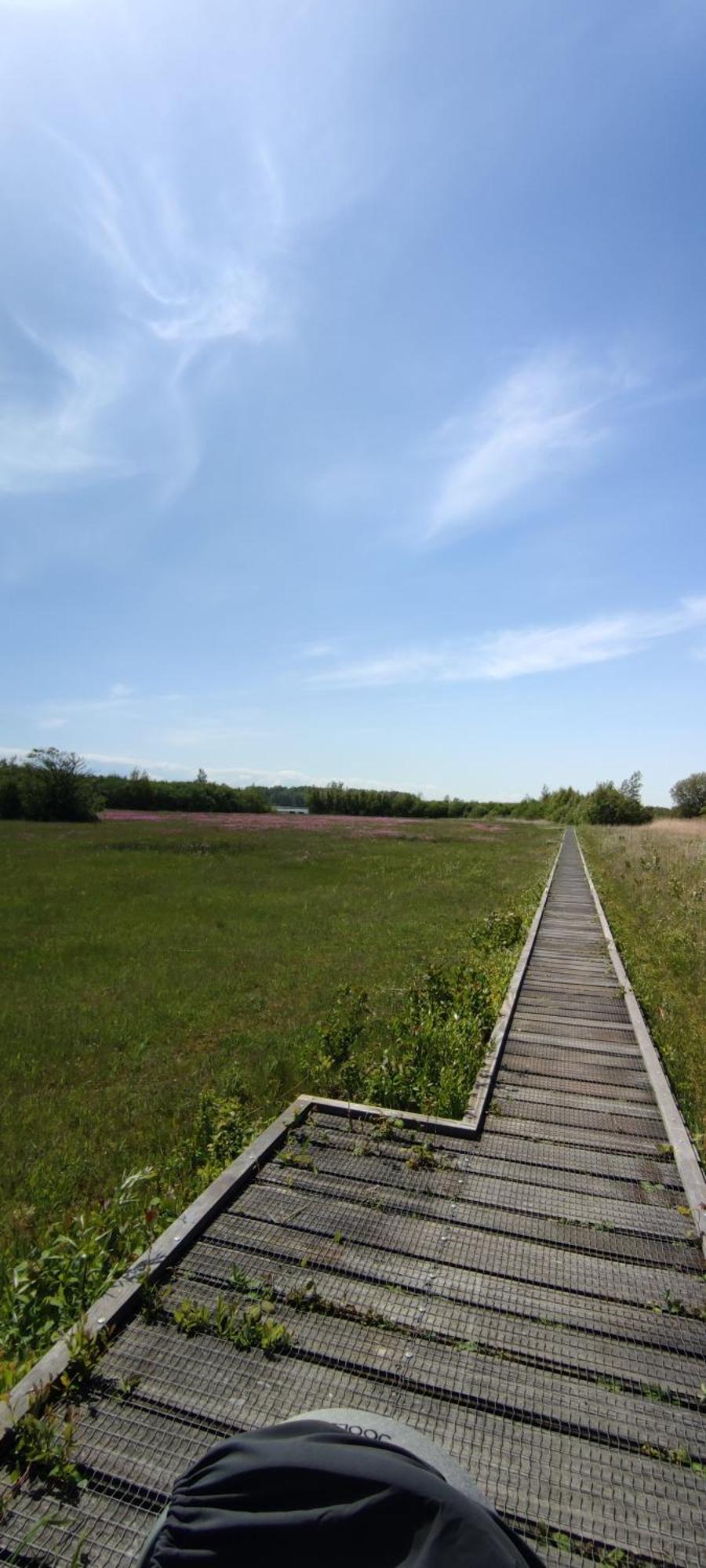 Mobilheim Herz Lauwersoog - Chalet Robbengat Εξωτερικό φωτογραφία